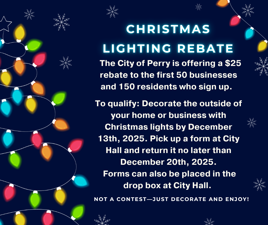 Rebate for Christmas lighting