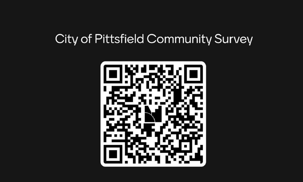 city of pittsfield community survey