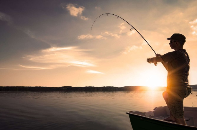 go fishing