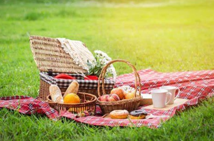 time to have a picnic