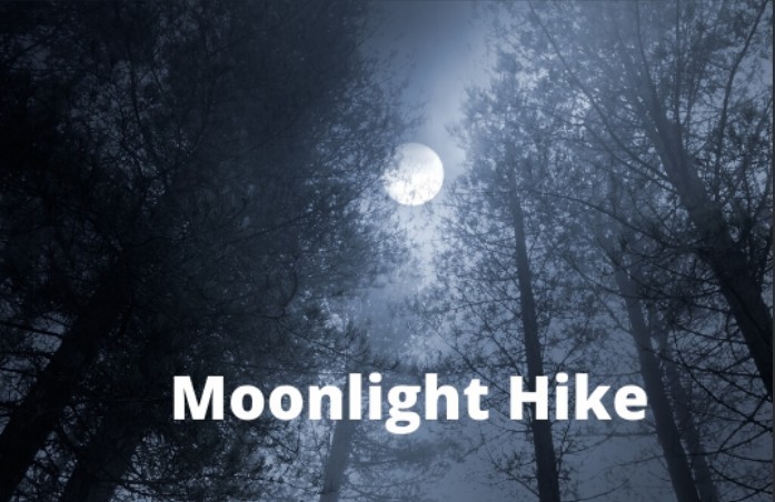 moonlight hike