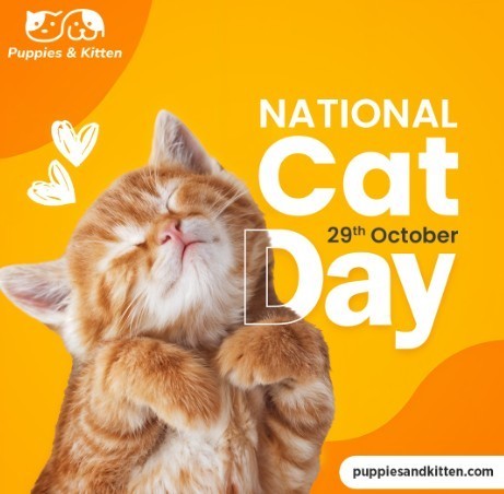 national cat day