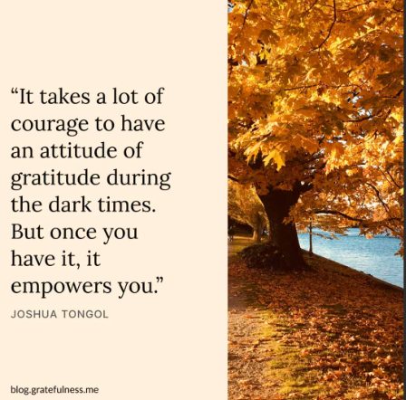 "It takes a lot of courage to have an attitude of gratitude during the dark times. But once you have it, it empowers you."- joshua tongol