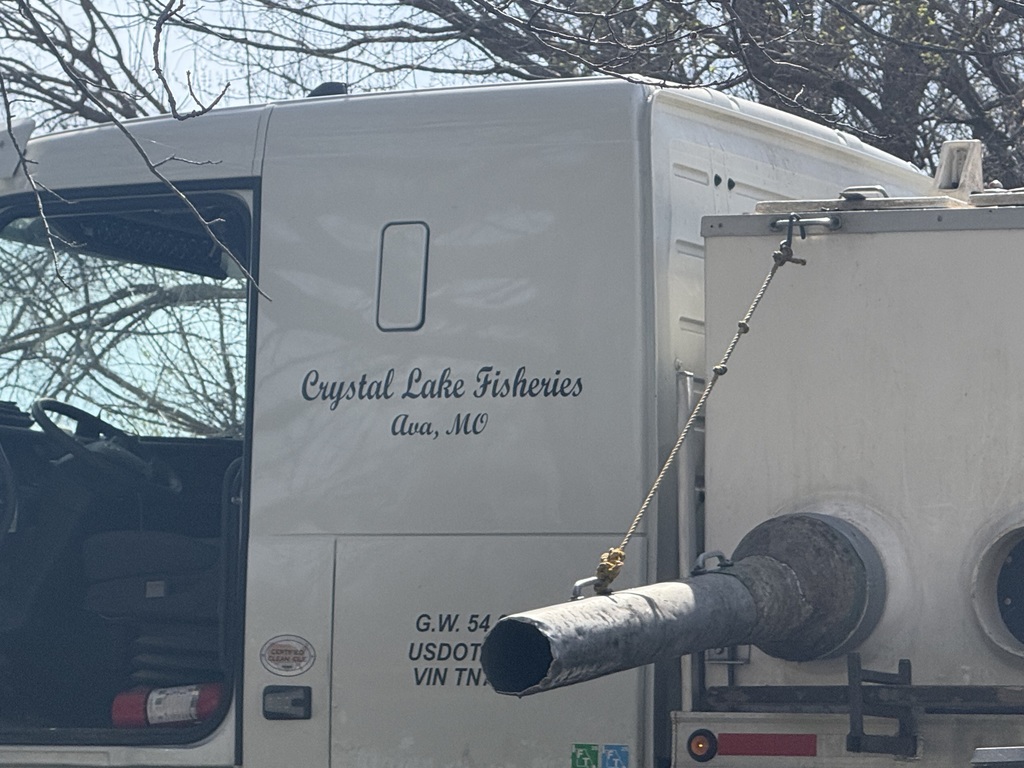 crystal lake fisheries truck delivering fish to the king park lagoon