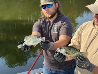 fish8
