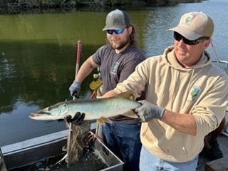 fish2
