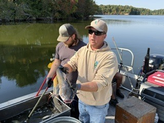 fish7
