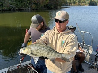 fish4