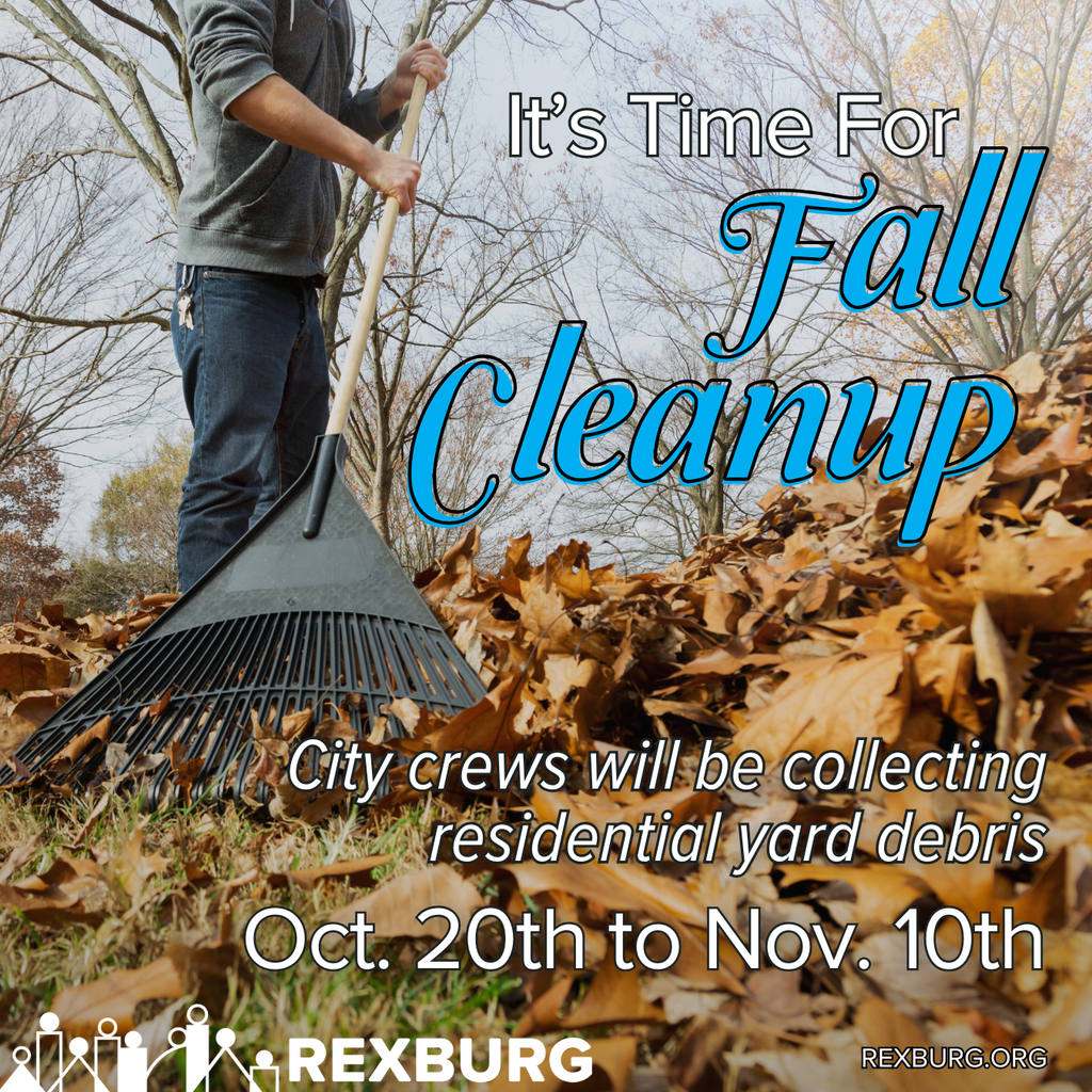 Shoulder-down, low-angle photo of a man raking leaves on the ground with bare trees behind him.