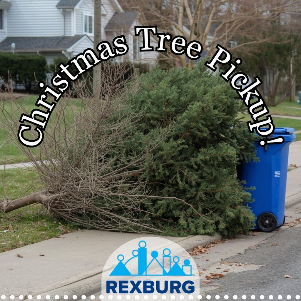 "Christmas Tree Pickup" text with photo of a dying tree lying curbside next to a blue trashcan in front of a white house. 