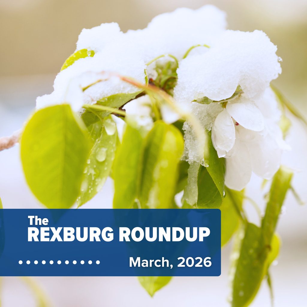 Rexburg Roundup: March 2026 with image of small white flower in bloom underneath snow