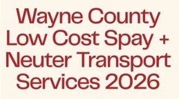 Low Cost Spay and Neuter Service