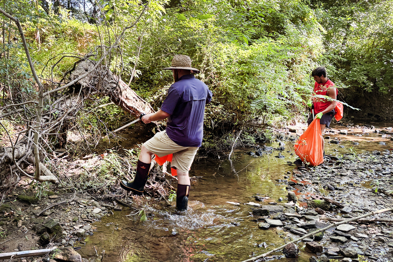 Volunteers collecting trash from the creek