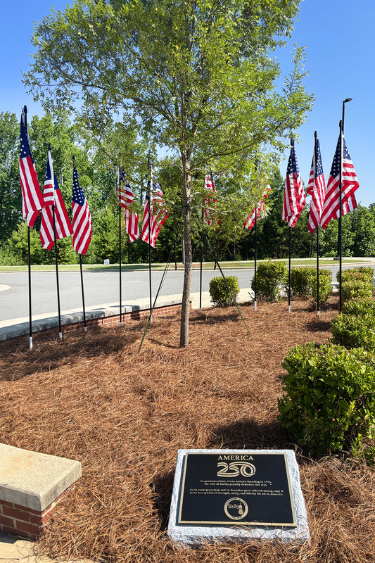 The elm tree surrounded by American flags with the bronze plaque in the background