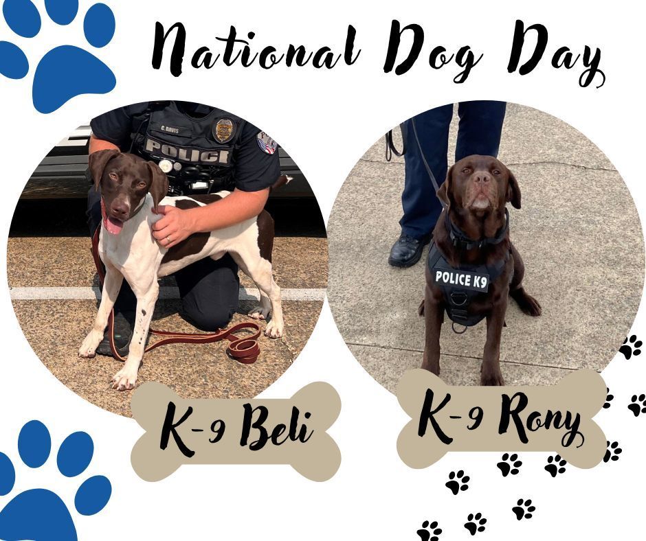 K-9 Beli and Rony