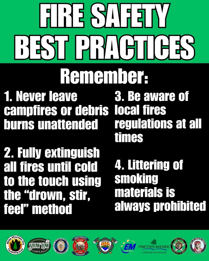 Fire Safety Best Practices Flyer