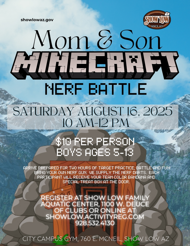 mom & son Minecraft Nerf Battle Flyer