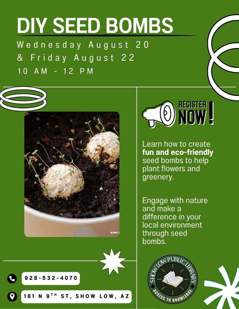 DIY Seed Bombs Flier