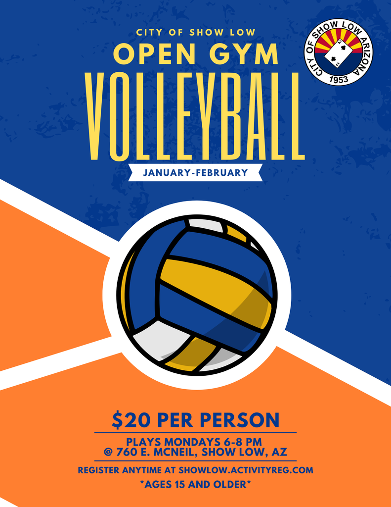 Open Gym Volleyball Flier
