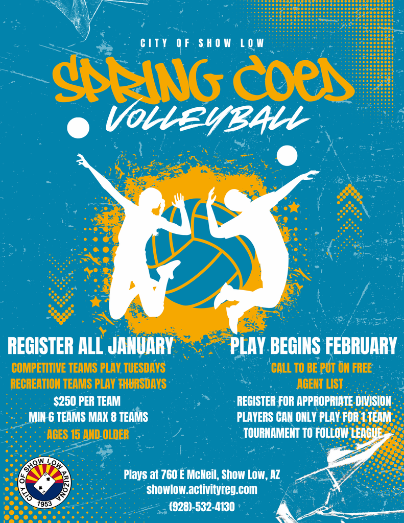 Spring Coed Volleyball