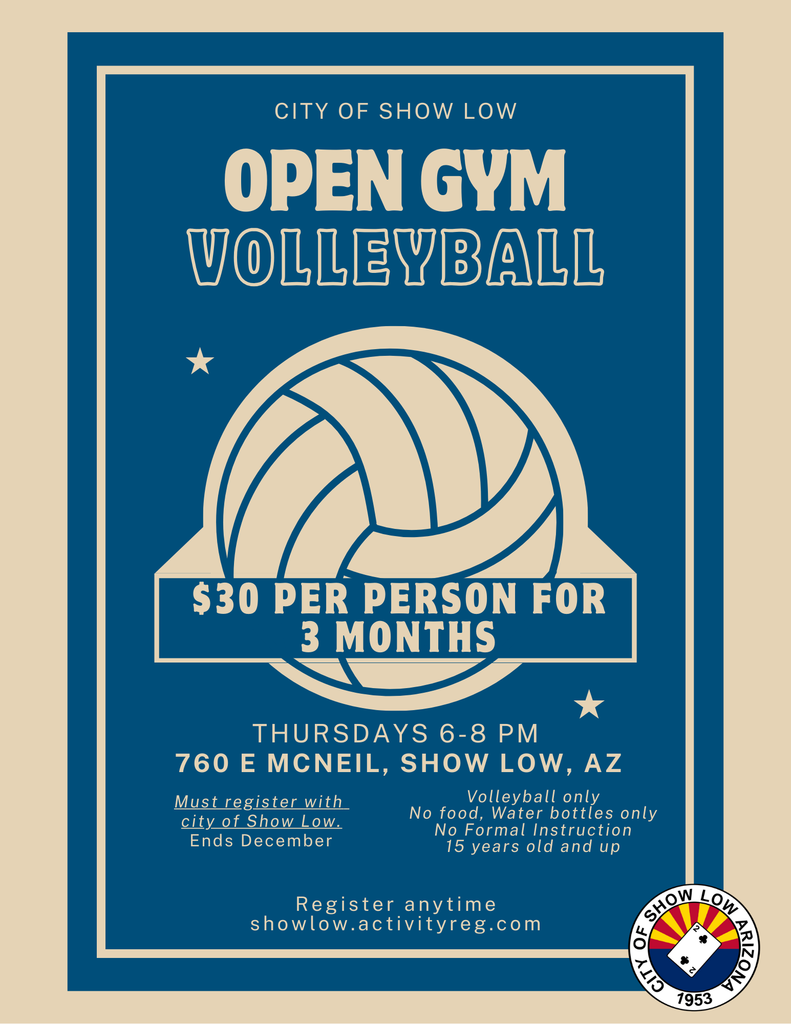 Open Gym Volleyball Flier