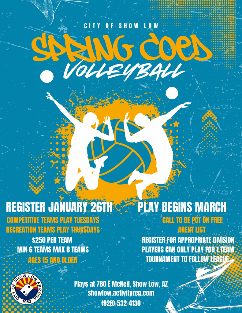 Spring Coed Volleyball
