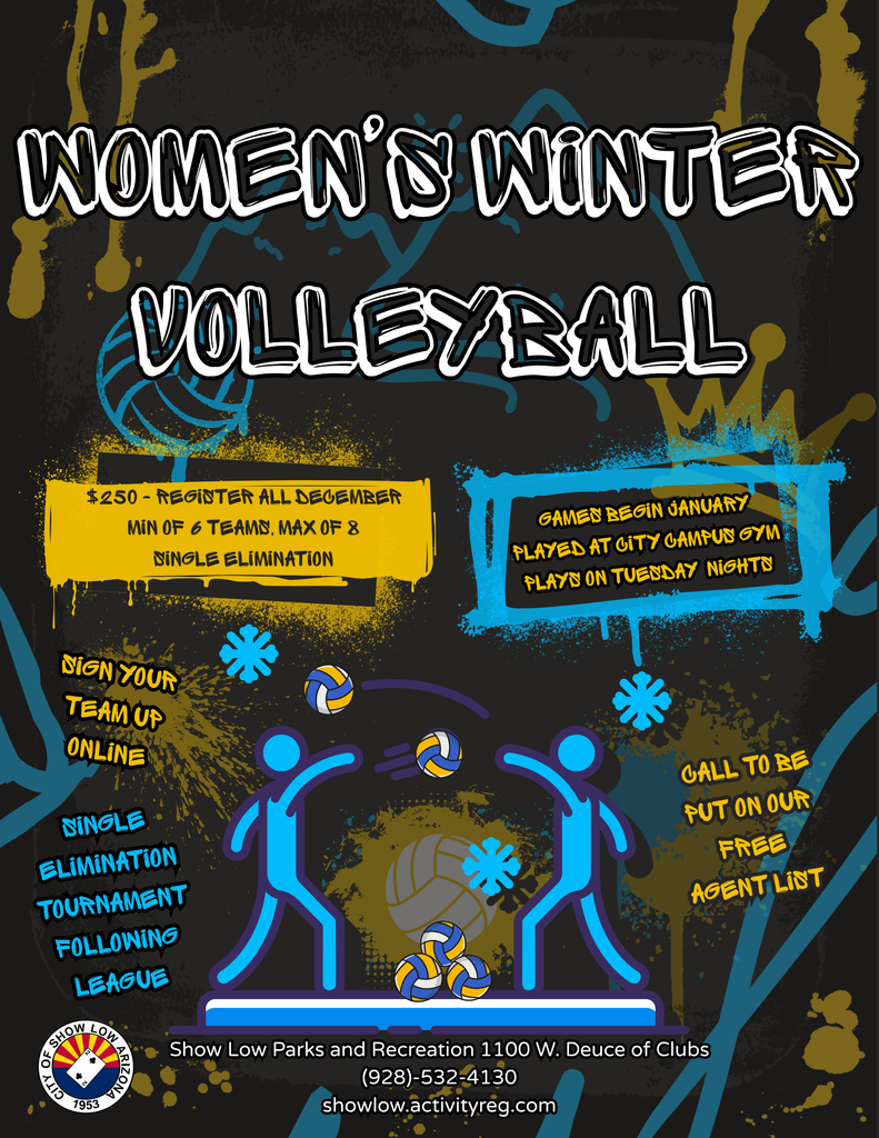 Women's Winter Volleyball