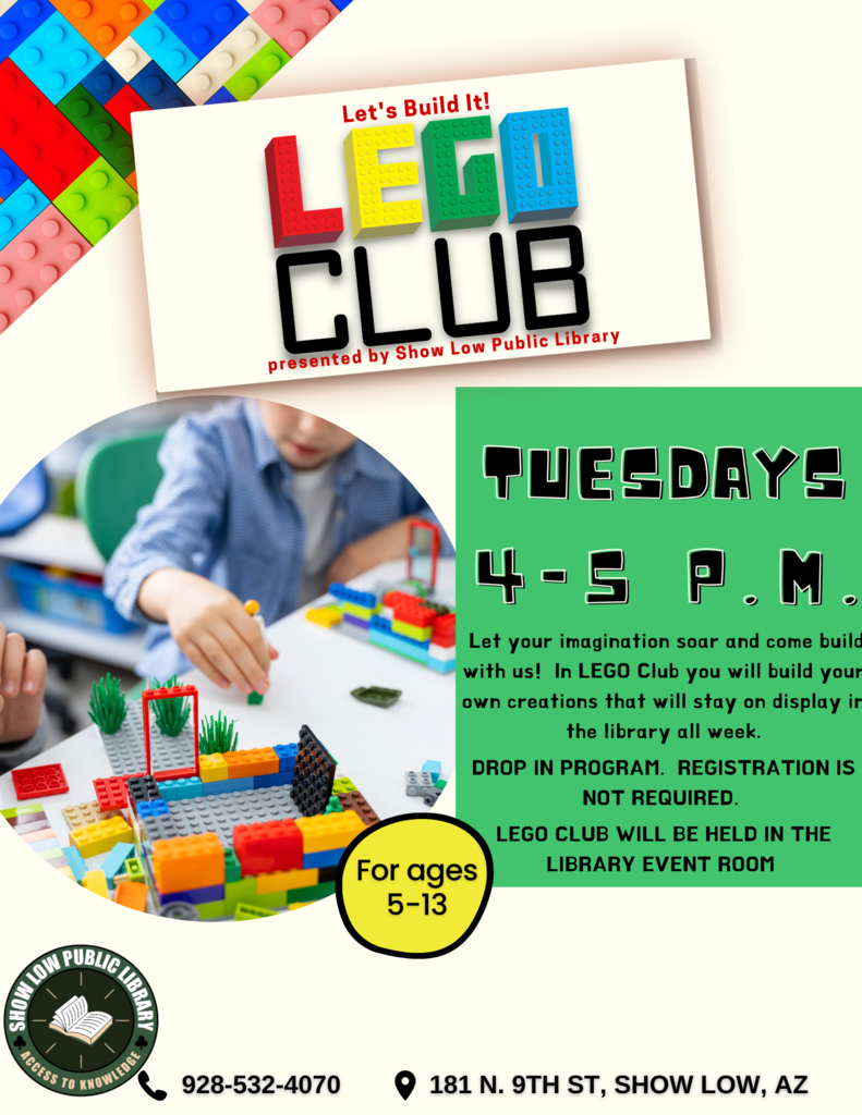 Lego Club Flier