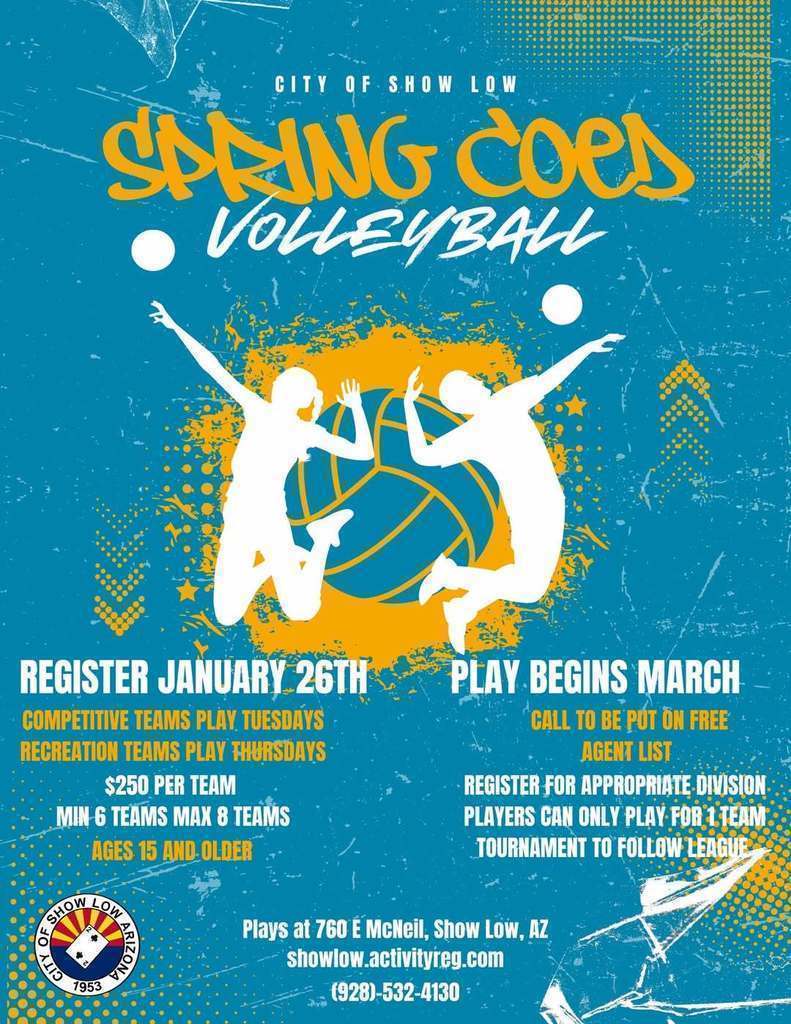 Spring Coed Volleyball Flier