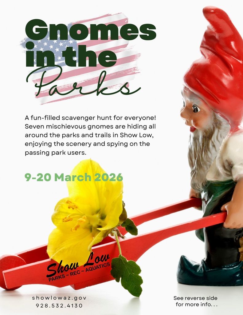 Gnomes in the Parks Flier