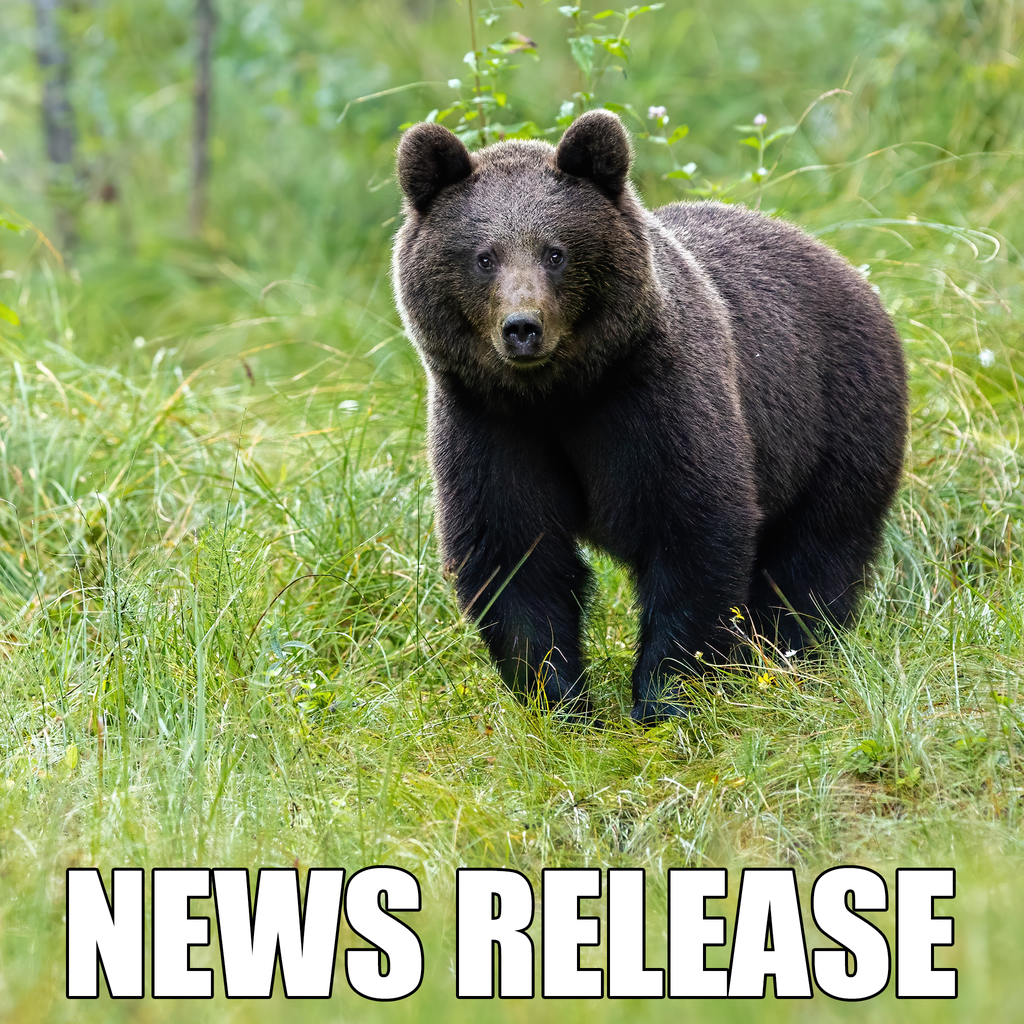 News Release Graphic