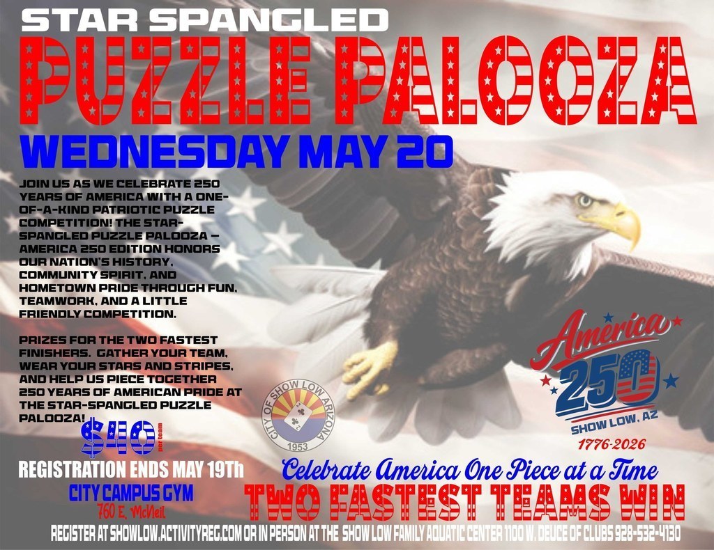 Puzzle Palooza Flier