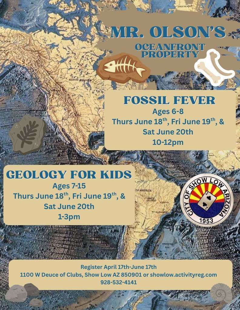 Mr. Olson's Oceanfront Property Flier