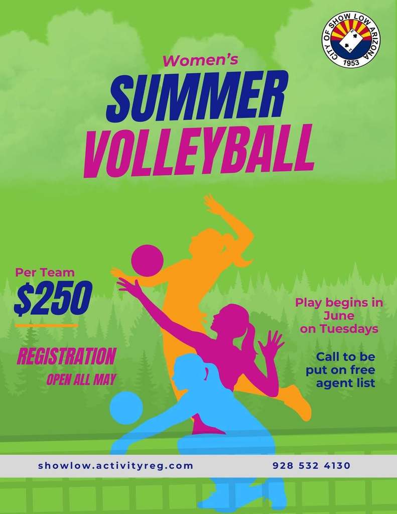 Summer Volleyball Flier
