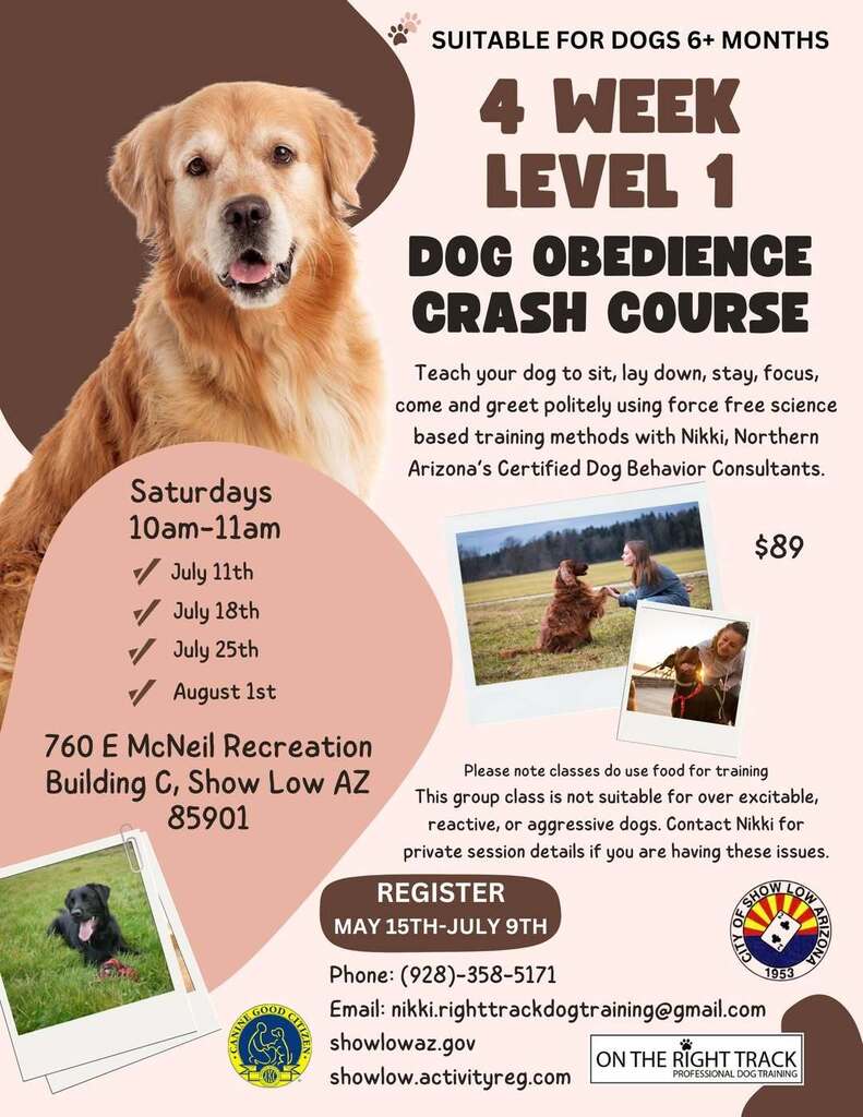 Dog Obedience Course Flier