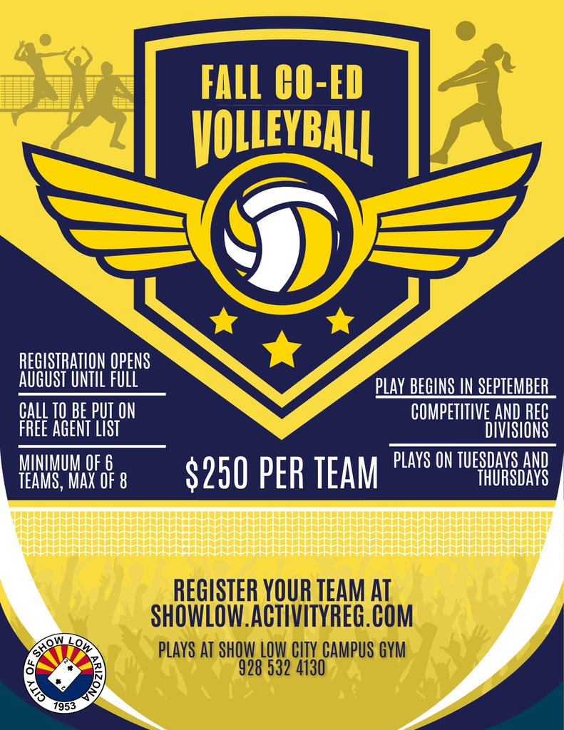 Fall Coed Volleyball 2026