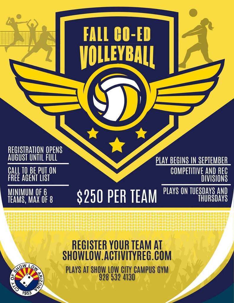 Fall Co-ed Volleyball Flier