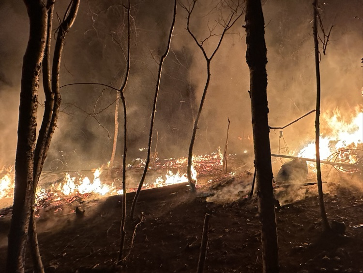 Grass Fire in the woods