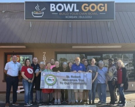 Bowl Gogi