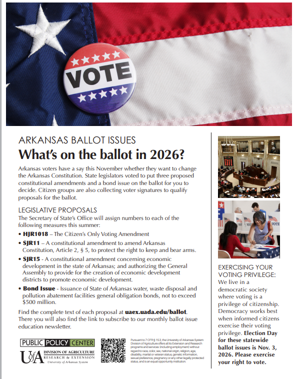 Ballot Issues 2026