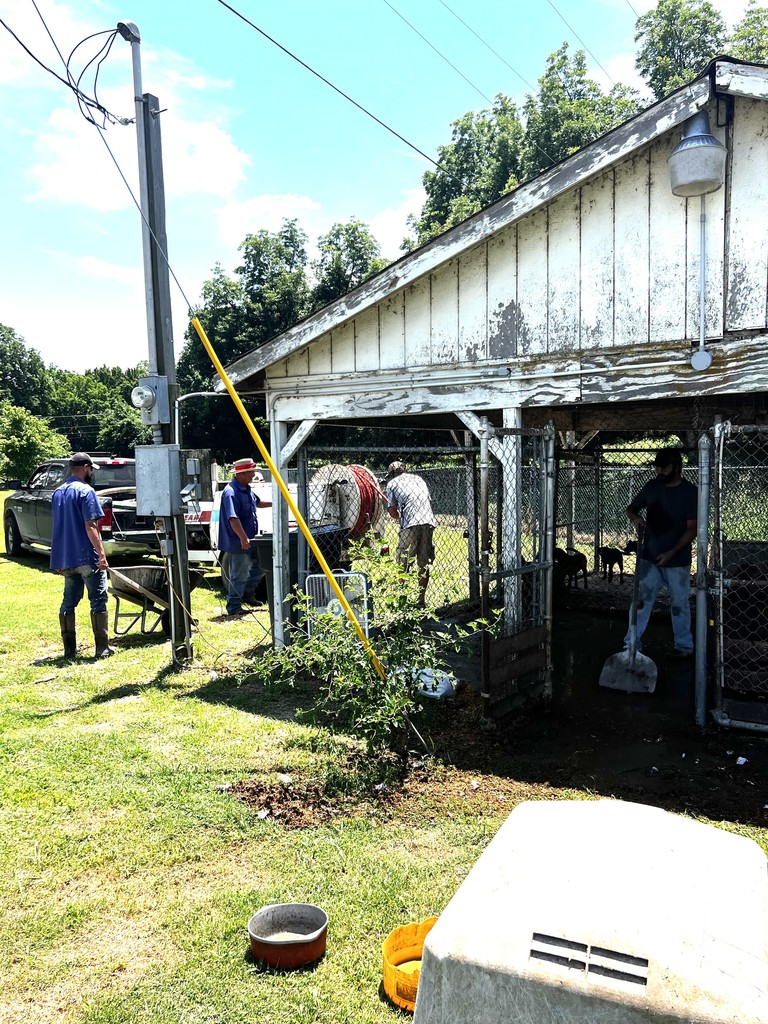 pictures of city workers cleaning up dog kennels 