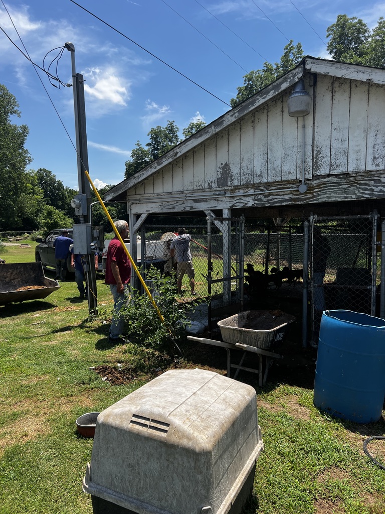 pictures of city workers cleaning up dog kennels 