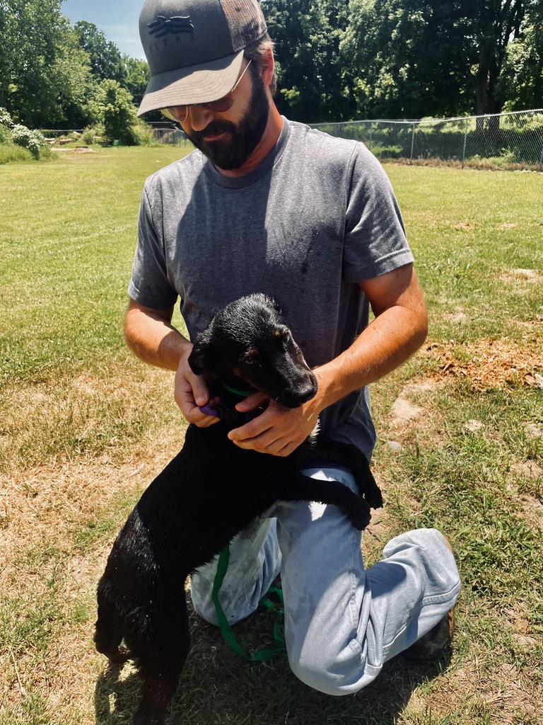Mayor Graham holds a brown and black pup 