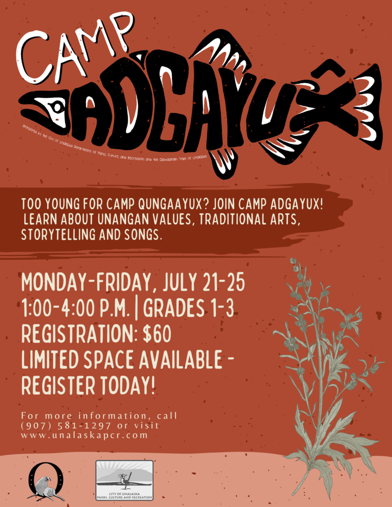 camp adgayux