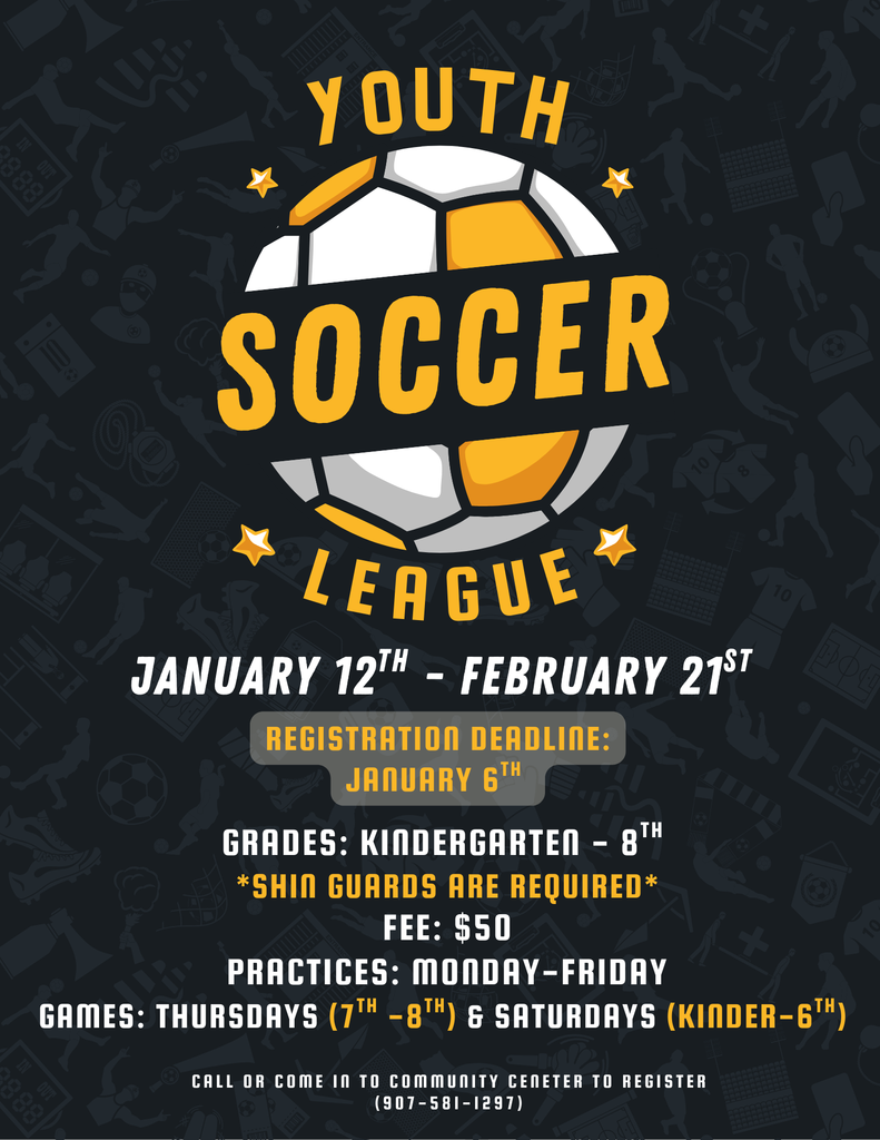 Youth Soccer League