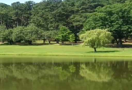 pond at Foster Park in Union, SC