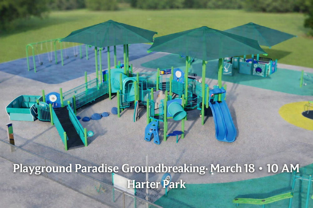 Playground Paradise Equipment