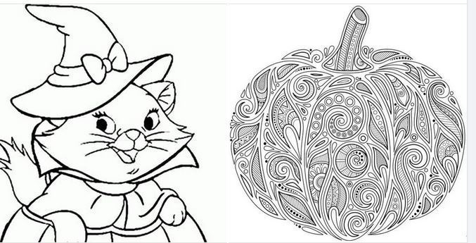 Cat and pumpkin coloring page