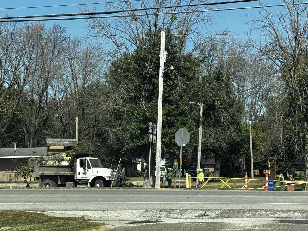 city crews cutting down trees at daniels park with a dump truck and front loader