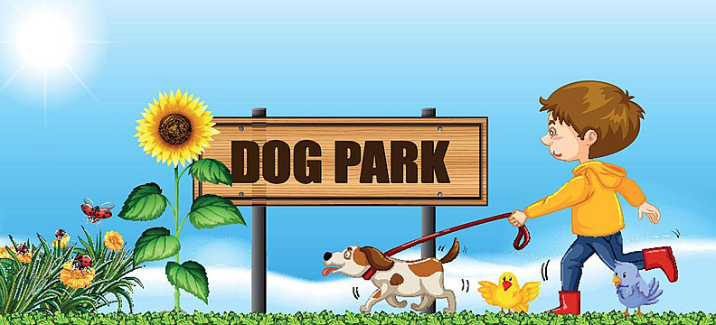 BOY WALKING HIS DOG AT THE DOG PARK WITH FLOWERS, BUTTERFLIES, BIRDS, AND A SUNFLOWER